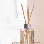 Ditch The Distraction: This Unlikely Office Scent Instantly Puts Your Brain Into Focus Mode!