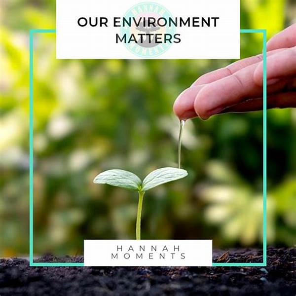 Your Environment Matters: How Organizing Your Office Reduces Cognitive Load And Saves Time!