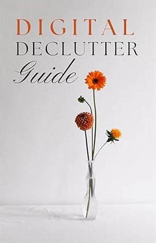 Digital Declutter Book