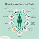 The 24-hour Difference: What Happens To Your Stress Levels When You Pre-plan Your Day!