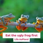 Deep Focus Secret: How Eating The Frog First Thing In The Morning Boosts Momentum!