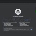 Hidden Gems: How To Use Incognito Mode To Avoid Website Tracking And Distractions!