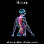 The Vagus Nerve Hack: Simple Offline Hobbies To Soothe A Technology-stressed Mind!
